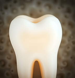 Illustration of a tooth